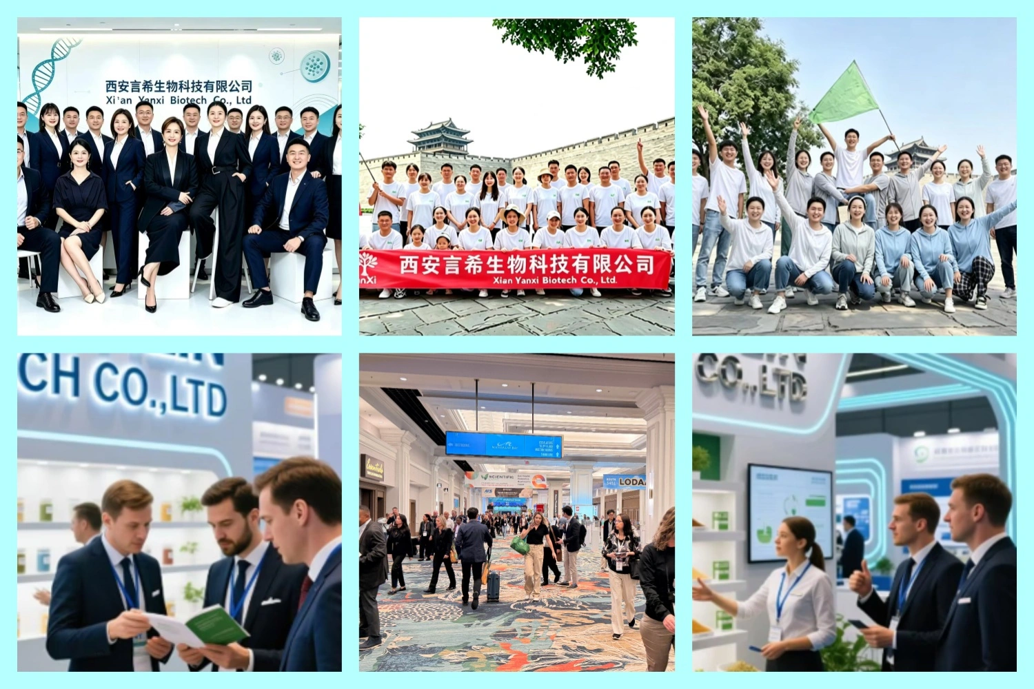 Yanxi Biotech Organizes Team Building Activity to Strengthen Cohesion Yanxi Biotech Organizes Team Building Activity to Strengthen Cohesion