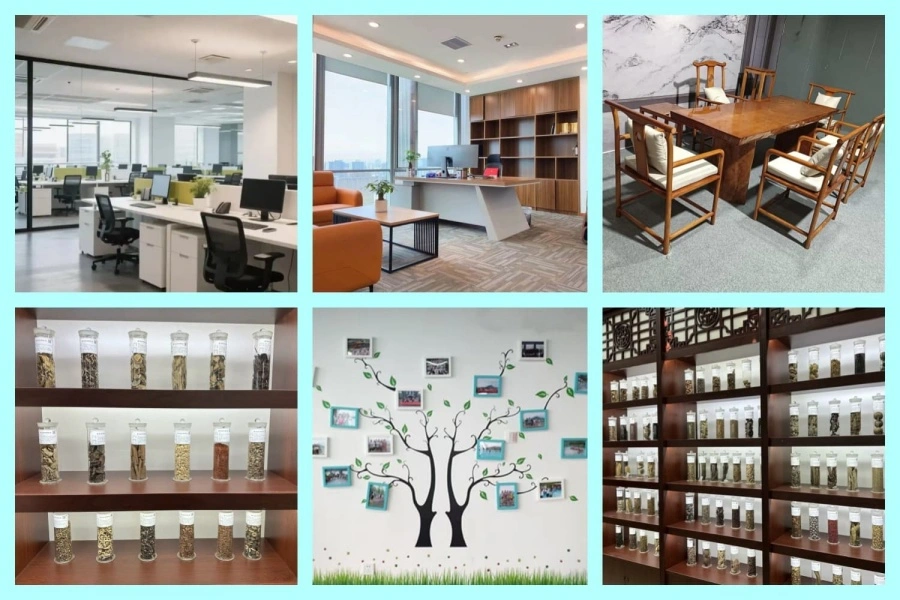 Our Company