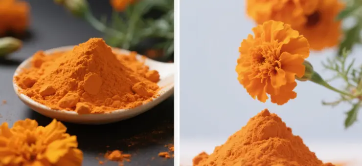 Lutein Powder Lutein Powder