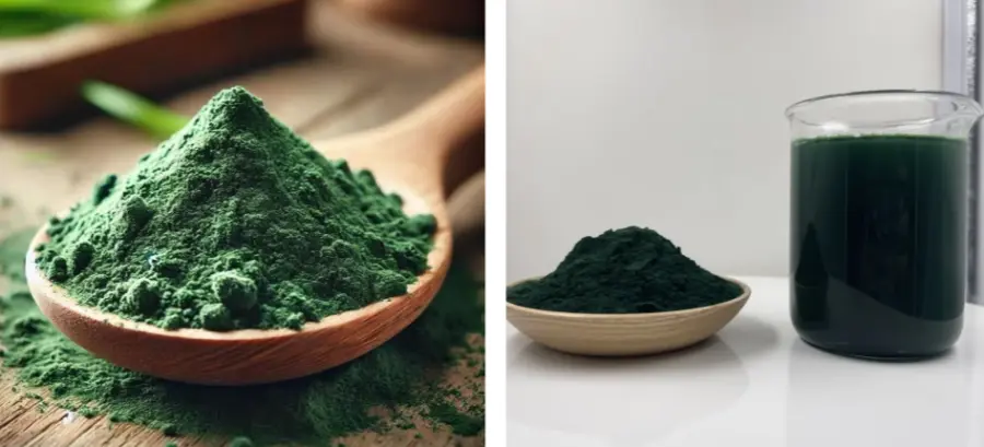 Spirulina Powder Spirulina Powder