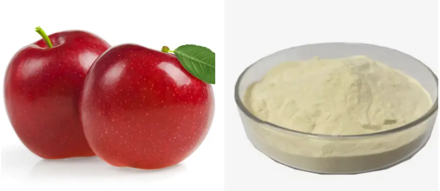 Freeze-Dried Apple Powder Freeze-Dried Apple Powder