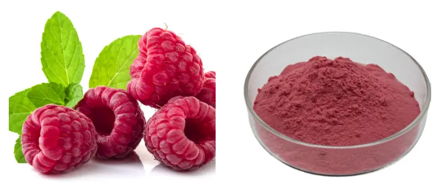 Freeze-Dried Raspberry Powder Freeze-Dried Raspberry Powder