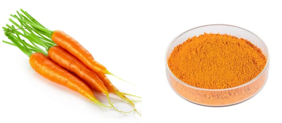 Freeze-Dried Carrot Powder Freeze-Dried Carrot Powder