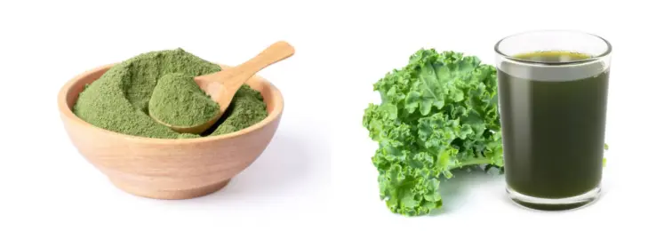 Freeze-Dried Kale Powder Freeze-Dried Kale Powder