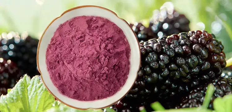 Mulberry Powder