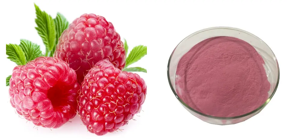 Raspberry Powder 