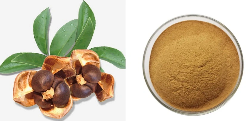 Tea Saponin 