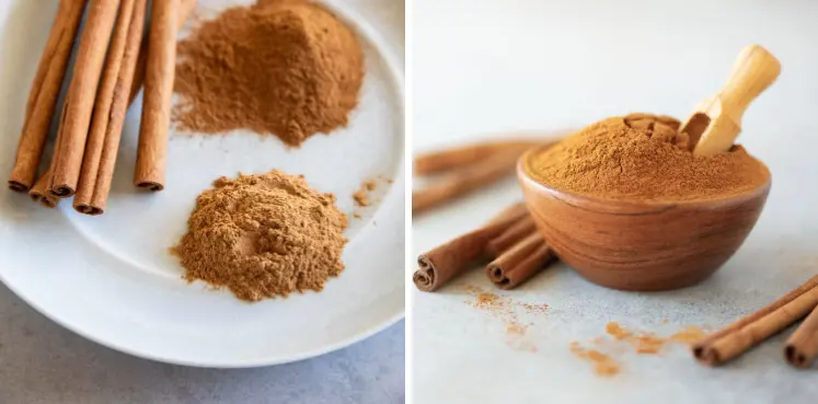Cinnamon Extract Powder