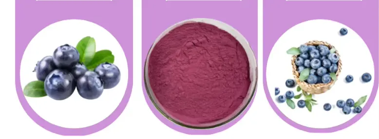 Blueberry Powder 