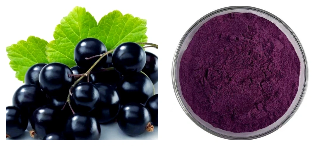 Maqui Berry Powder Maqui Berry Powder
