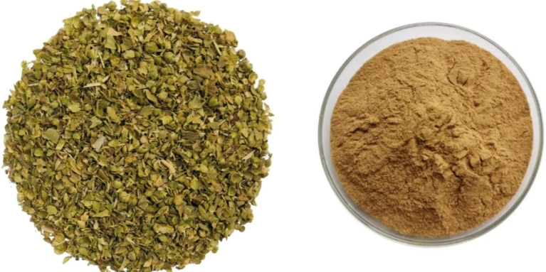 Oregano Extract Powder