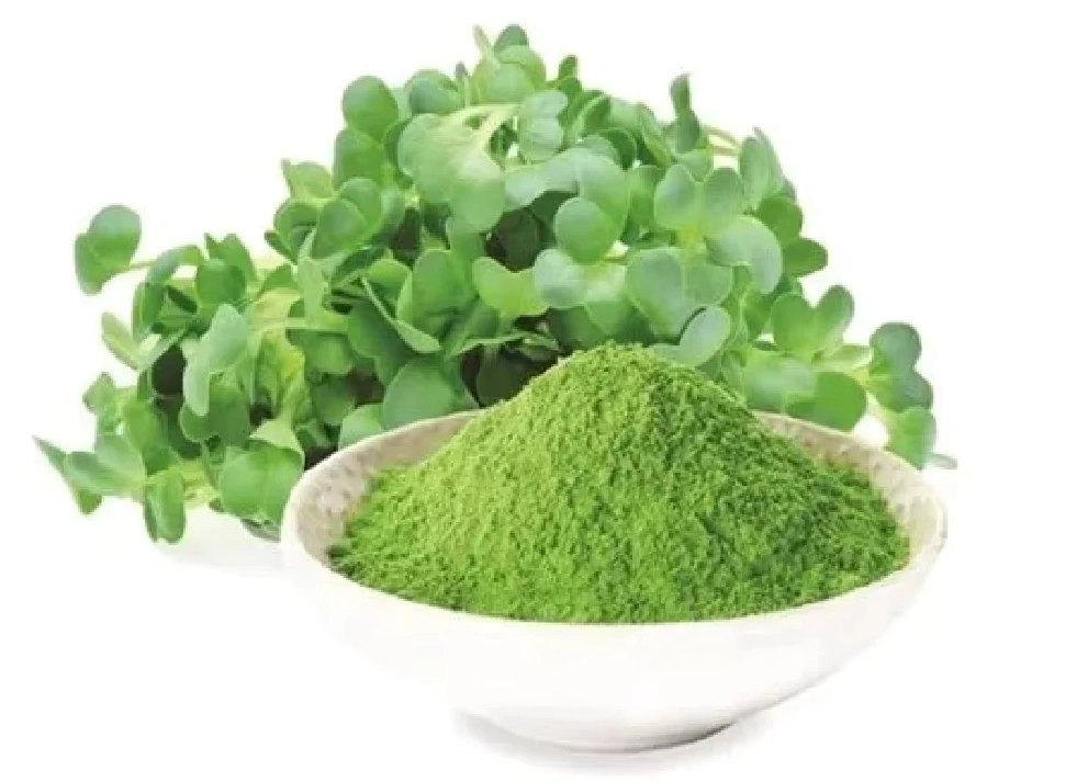 Alfalfa Powder 