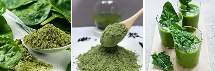 Spinach Powder