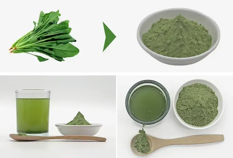 Spinach Powder Bulk