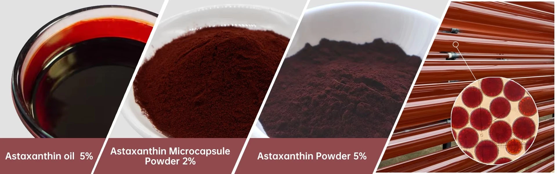Astaxanthin Powder Astaxanthin Powder
