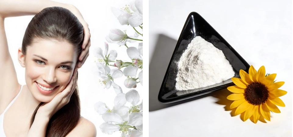 Azelaic Acid Powder 