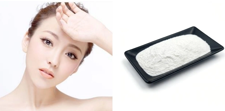 Ceramide Powder 