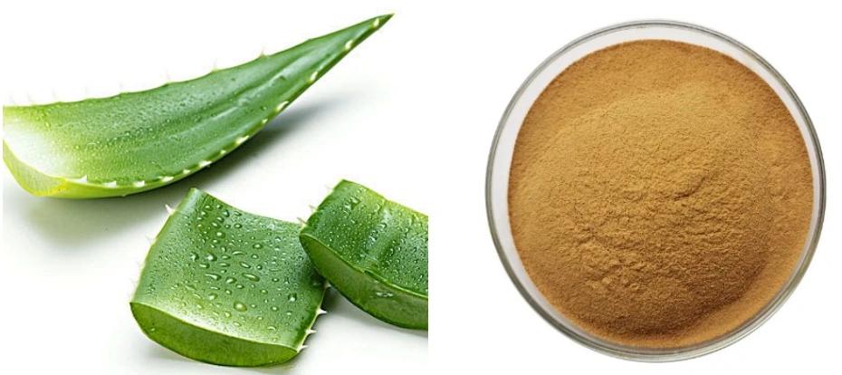 Aloin Powder