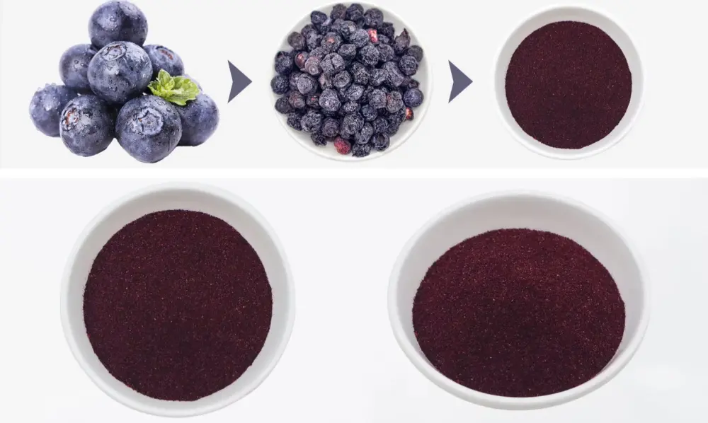 Freeze-Dried Blueberry Powder Freeze-Dried Blueberry Powder
