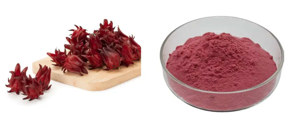 Hibiscus Sabdariffa Roselle Powder