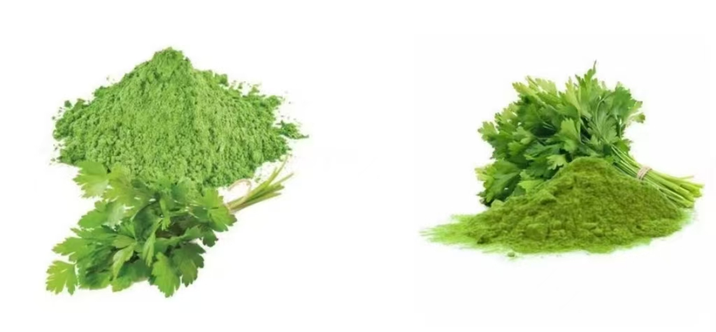 Parsley Powder 