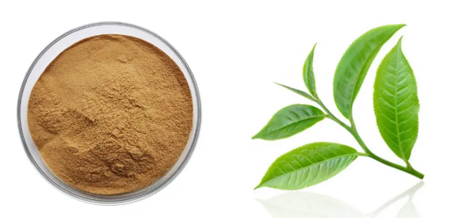 Instant Green Tea Powder Instant Green Tea Powder