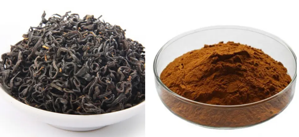 Instant Oolong Tea Powder