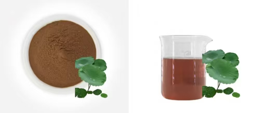 Lotus Leaf Extract Powder