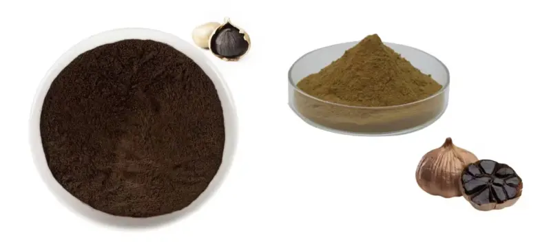  Garlic Extract Powder