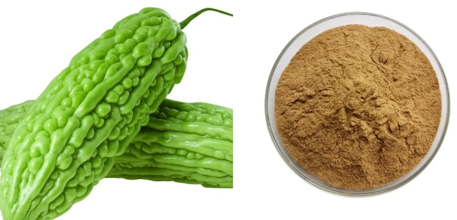 Bitter Melon Extract Powder Bitter Melon Extract Powder