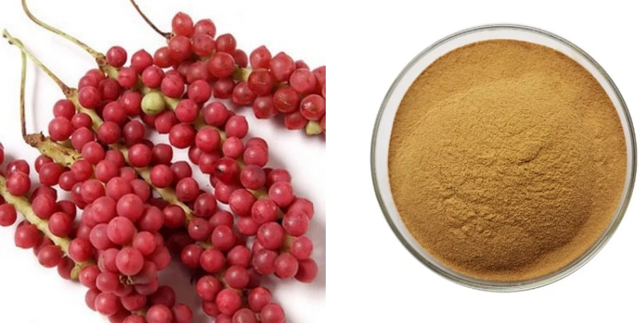 Schisandra Berry Extract Powder