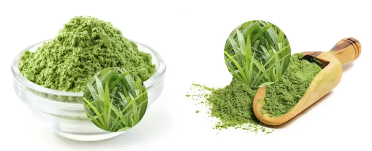 Pandan Leaf Powder Pandan Leaf Powder
