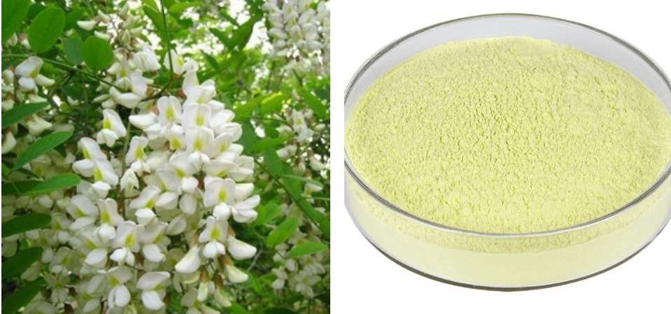 Rutin Powder
