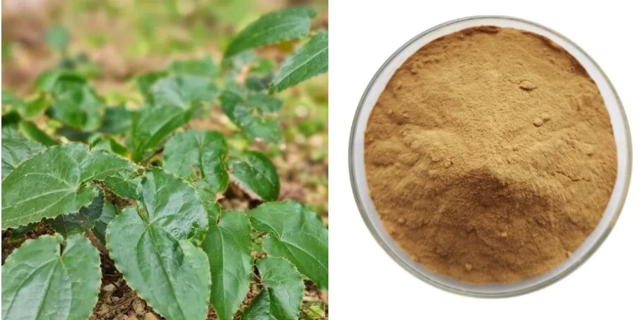 Horny Goat Weed Extract Powder Horny Goat Weed Extract Powder