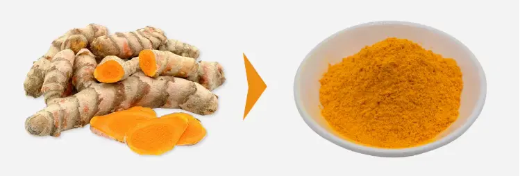 Curcumin Powder Curcumin Powder