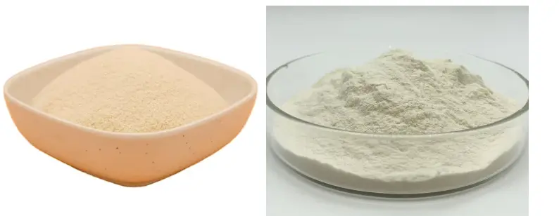 Xanthan Gum Powder Xanthan Gum Powder