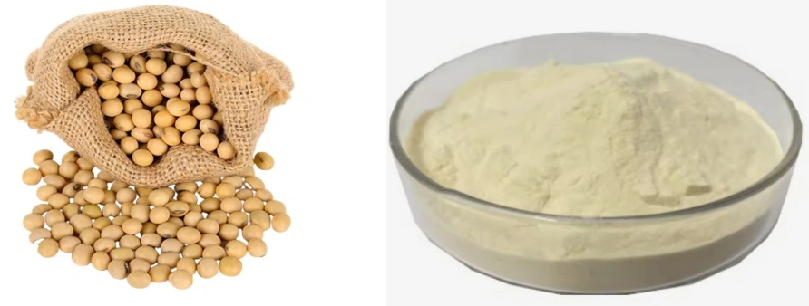 Soy isoflavones Powder Soy isoflavones Powder