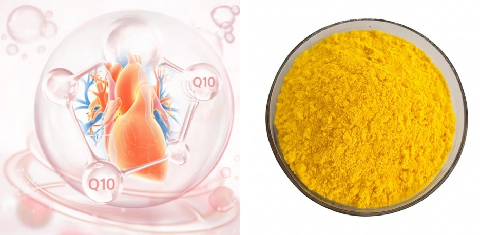 Coenzyme Q10 Powder