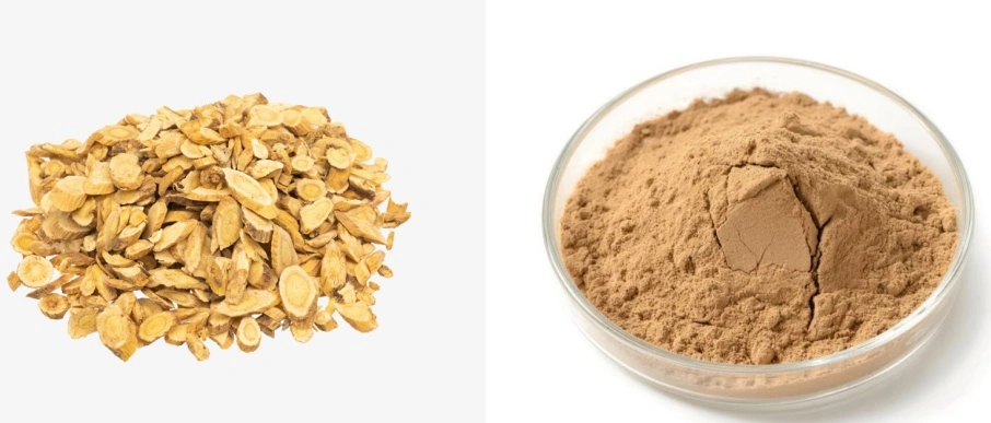 Astragaloside IV Powder