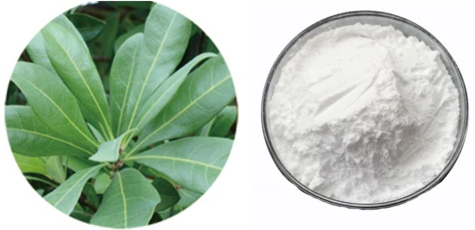 Dihydromyricetin Powder