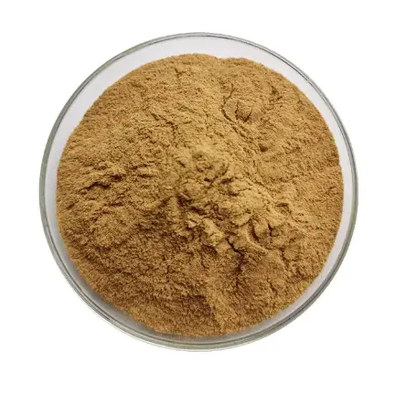 King Oyster Mushroom Extract Powder