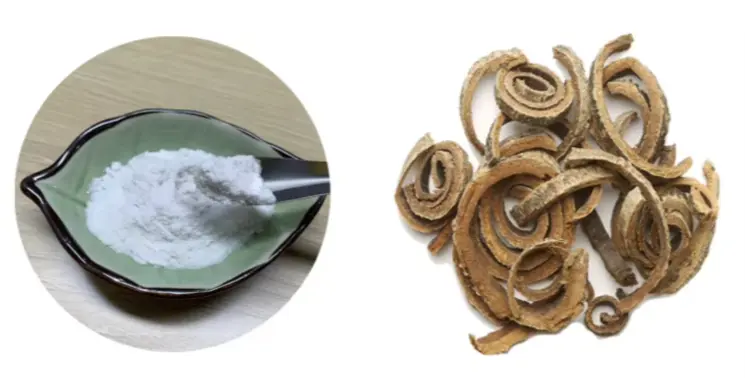 Magnolol Powder 