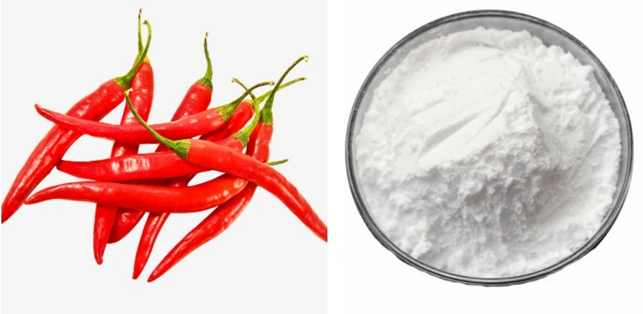 Capsaicin Powder 