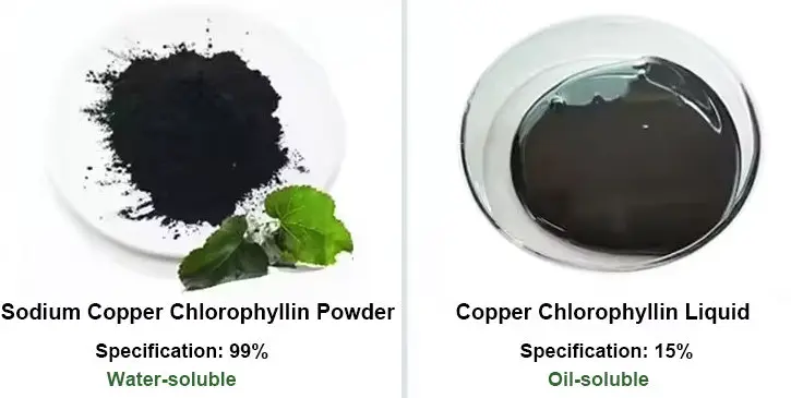 Chlorophyll Powder