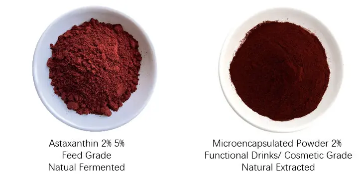 Astaxanthin Astaxanthin