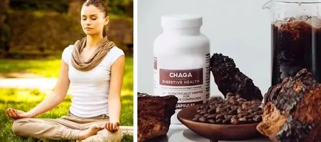 Chaga Extract2 Chaga Extract2