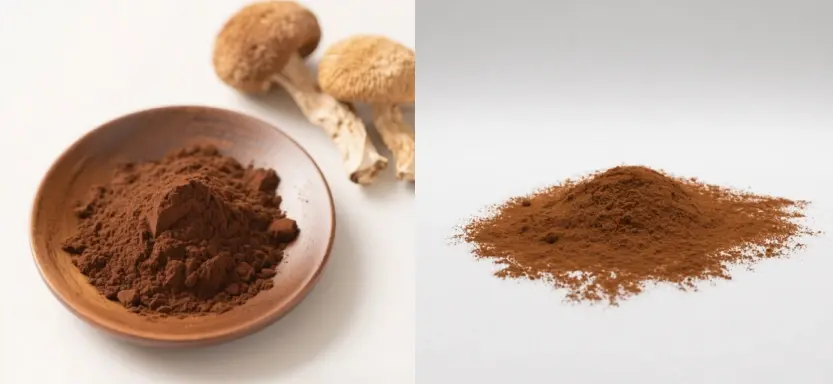 Lion's Mane Mushroom Extract Powder