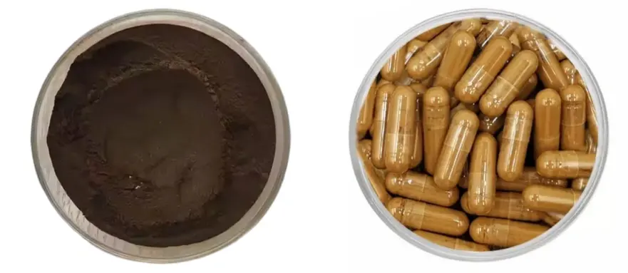 Fo-Ti Extract Powder