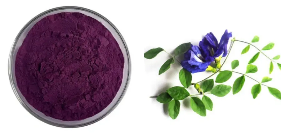 Butterfly Pea Flower Extract Powder Butterfly Pea Flower Extract Powder