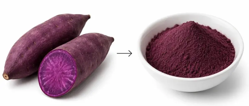 Purple Sweet Potato Powder Purple Sweet Potato Powder